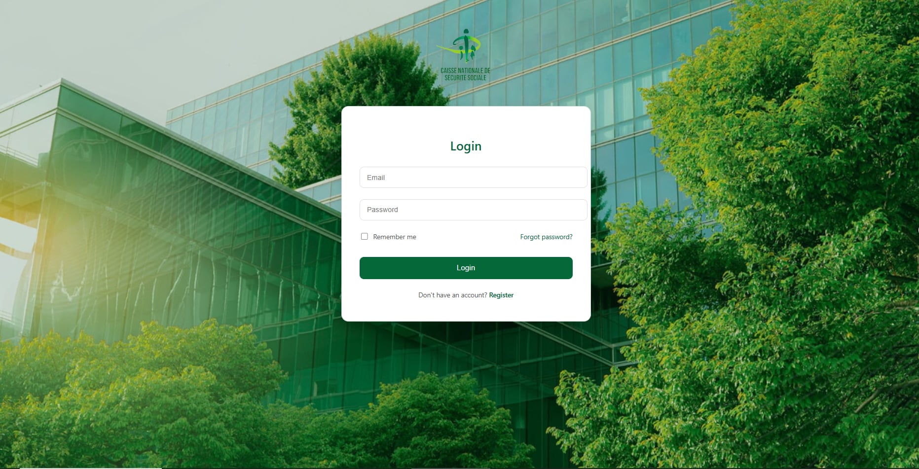 Admin Login Interface