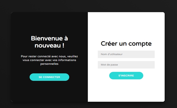 User Authentication Interface